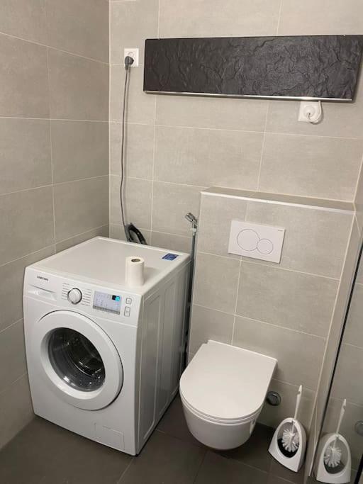 Appartement Confort, Vue Sur Le Genève